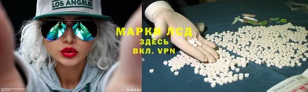 прущие грибы Балахна