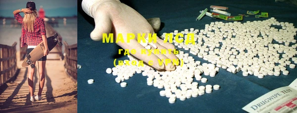 прущие грибы Балахна