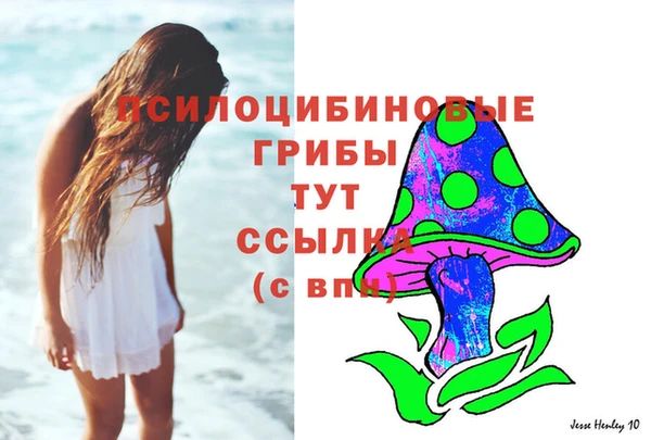 прущие грибы Балахна
